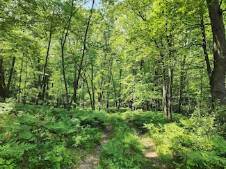 25 +/- Acres Mostetler Rd, Harrison, MI 48625