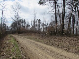 Shay Ridge Rd, New Matamoras, OH 45767