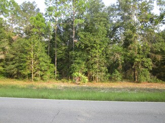 1260 Coral Farms Rd, Florahome, FL 32140