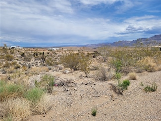 1315 Hance Dr Unit 163, Meadview, AZ 86444