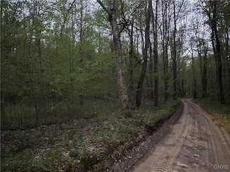 0 Otter Creek Rd Unit S1606057, Greig, NY 13345