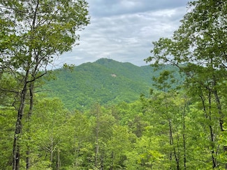 Lot 9 Butternut Ridge, Bryson City, NC 28713