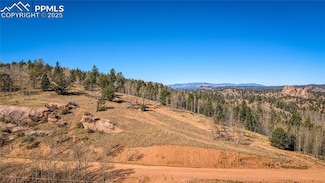 1343 Golden Cycle Cir, Cripple Creek, CO 80813