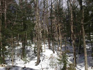 0 Scenic Dr Unit Lot 119-03 4683593, Stoddard, NH 03464