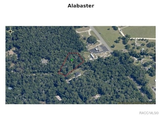 5121 N Alabaster Dr, Hernando, FL 34442