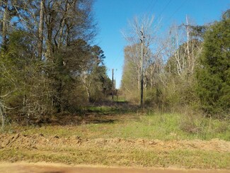 10 +-ac,Lot 1PL Cty Rd 140 Cty Rd 141, Headland, AL 36345