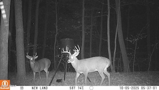 4, 5, 6, 7 Secluded Lake Rd, Newfoundland, PA 18445