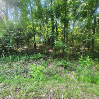 L-25 B-7 Navajo Trace, Cherokee Village, AR 72529