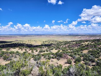 Lot 25 26 27 Elk Valley Ranch, St. Johns, AZ 85936