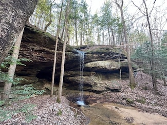 000 County Road 18, Double Springs, AL 35553