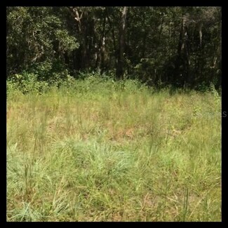 12751 Morton St, Moon Lake Estates, FL 34654