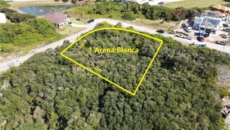 1 Arena Blanca, Ponce Inlet, FL 32127