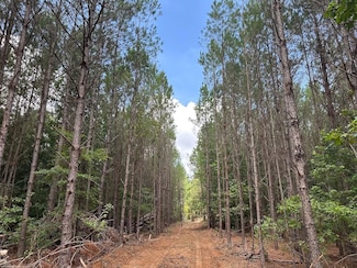 0 Spay Rd, McCool, MS 39108