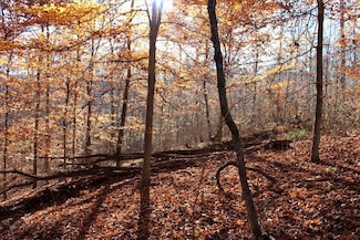 0 Ky 828 Lot Unit Wp002, Webbville, KY 41180