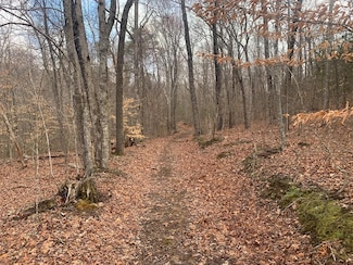 Lot 4 &5 Peaceful Ln, Spencer, TN 38585