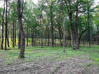 12 Weaver Cir, Holland, AR 72173