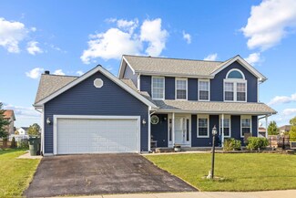 8016 Farmhouse Rd, Frankfort, IL 60423