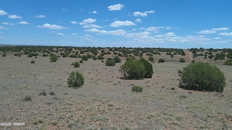 0 Ranch of the White Mountains Unit 257118, Concho, AZ 85924