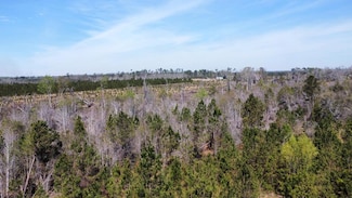 00 Mclean St, Lumber City, GA 31549