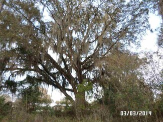 N U S 221 Hwy N, Perry, FL 32347
