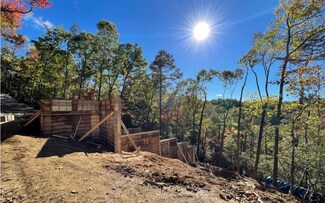 393 S Dream Catcher, Blue Ridge, GA 30513