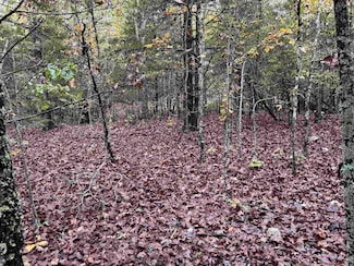 1352 Pioneer Lake Rd, Horseshoe Bend, AR 72512