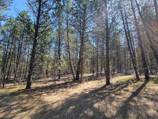 110 E Prospectors Dr Unit 228, Cascade, ID 83611