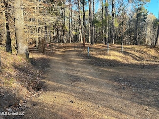 0 Willie Neyland Rd, Centreville, MS 39631