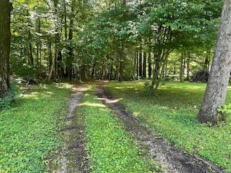 493 Hornettown Ln, Morgantown, IN 46160