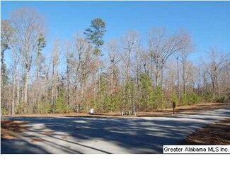1 Blackberry Dr Unit 92, Wedowee, AL 36278