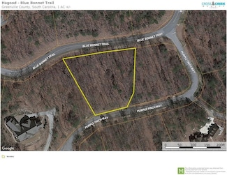 0 Purple Finch Way Unit 16747403, Marietta, SC 29661