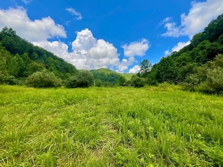 0 Left Fork Marshall Branch Rd, McRoberts, KY 41537
