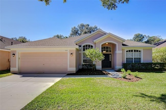 5917 Tealwater Place, Lithia, FL 33547