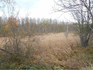 0 Maple Ave Unit R194888, Palmyra, NY 14522
