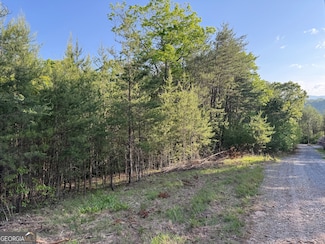 502 River Hills Rd, McCaysville, GA 30559