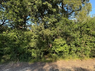 0 Laguna Vista Dr, Needville, TX 77461