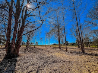 0 Tract 1 Cr 1713, Jacksonville, TX 75766