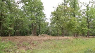 18 AC Shelley Rd Unit FM 134, Jefferson, TX 75657
