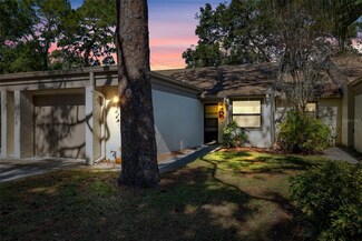 2902 Oak Cir, Tarpon Springs, FL 34689