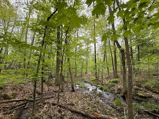 Lot 2 Naples Rd, Harrison, ME 04040