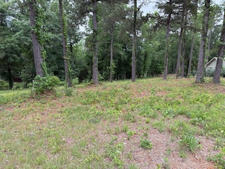 0 Powell Trace Unit 203387, Abbeville, AL 36310
