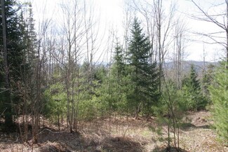 Lot 4 Moore Dam Rd, Waterford, VT 05819