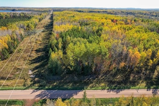 TBD County Road 536, Nashwauk, MN 55769