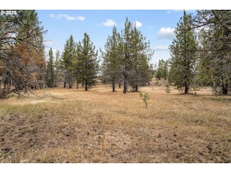 0 Wolf Creek Rd 42 Unit 245192763, Paulina, OR 97751