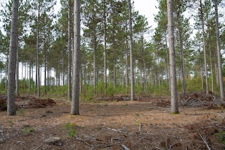 Lot 4 Bollig, Nekoosa, WI 54457