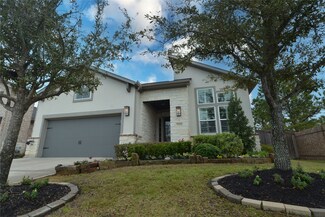 13231 Fairfield Arbor Dr, Houston, TX 77059