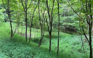 LOT 12 Preserve at Beach Mountain, Brasstown, NC 28902