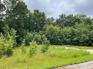 Lot 24 Osprey Landing II Unit Bragg Pond Rd, Cadiz, KY 42211