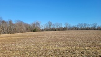 1 Mount Lebanon Church Rd, Shelbyville, TN 37160
