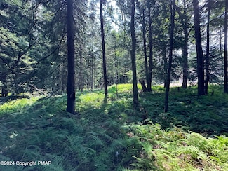 1127 Sawmill Rd 1127 Rd, Pocono Lake, PA 18347